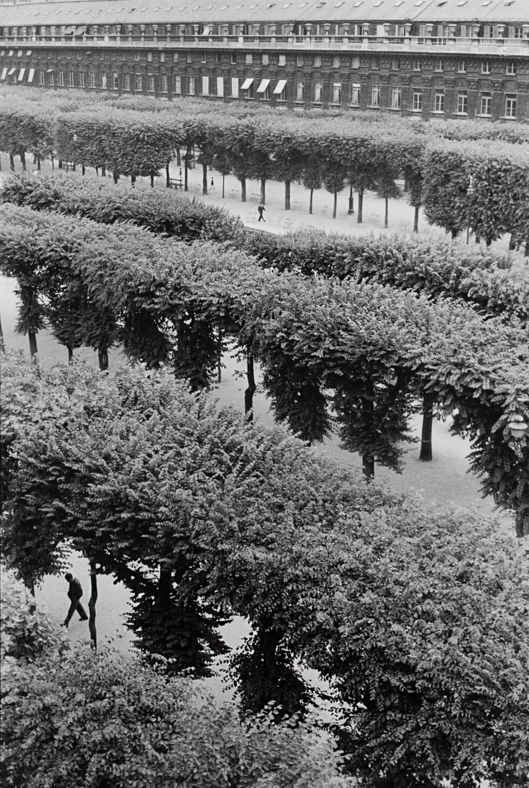 Henri Cartier-Bresson, Jardins du Palais Royal, 1959