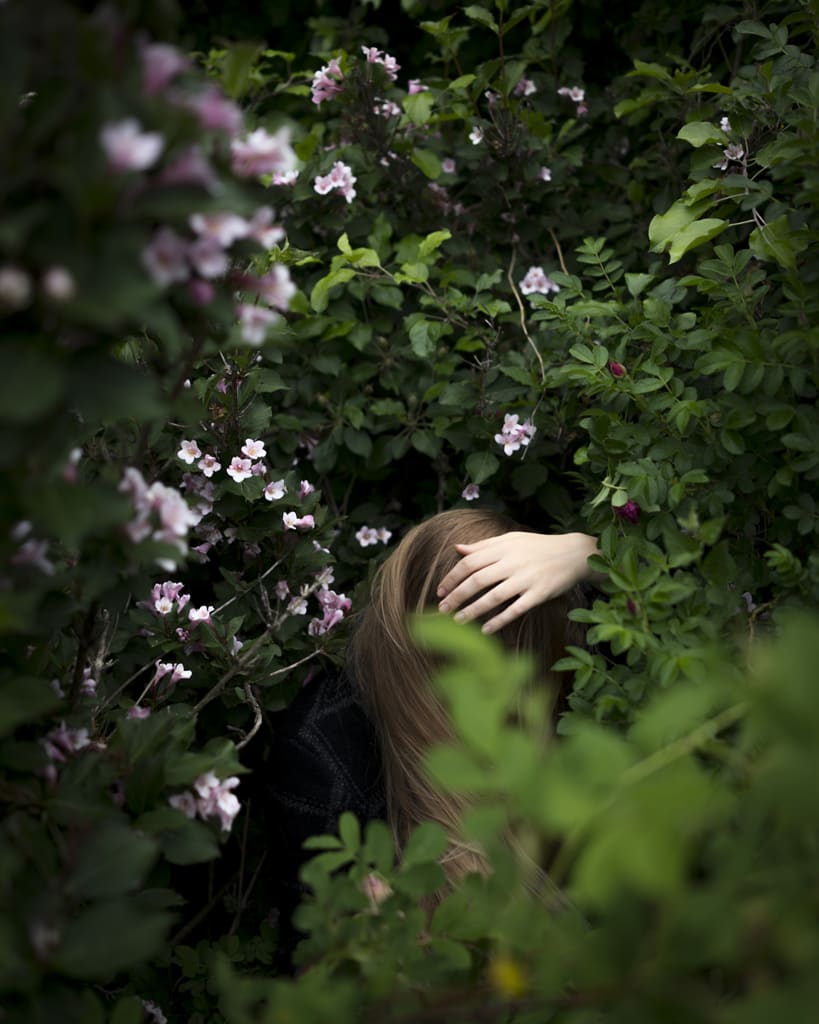 Cig Harvey, Wild Roses, Camden, Maine, 2018