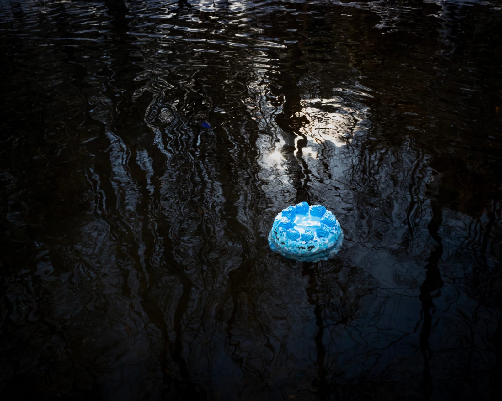 Cig Harvey, Blue Moon, 2023