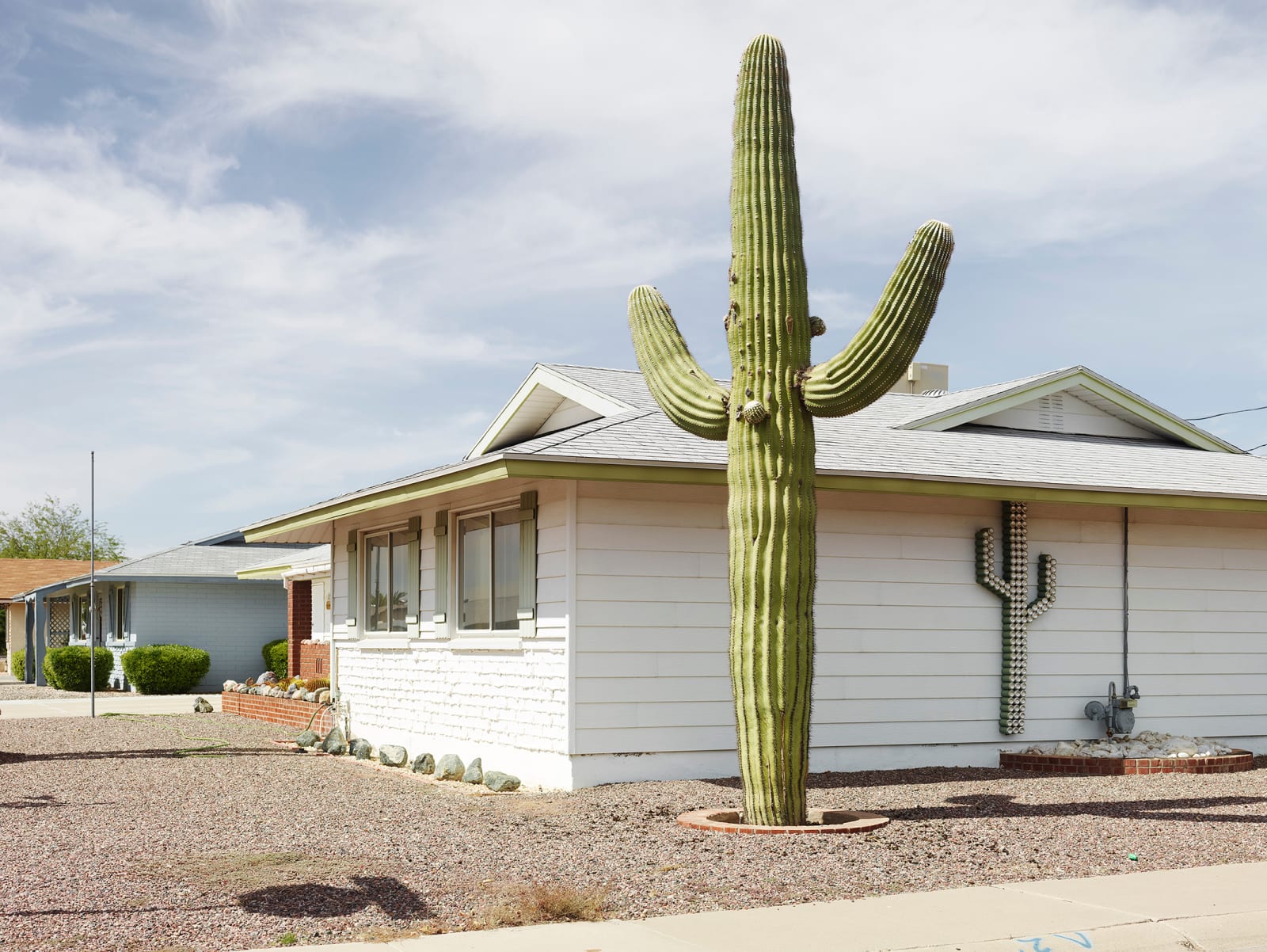 Josef Hoflehner, Cactus, Phoenix, Arizona, 2013