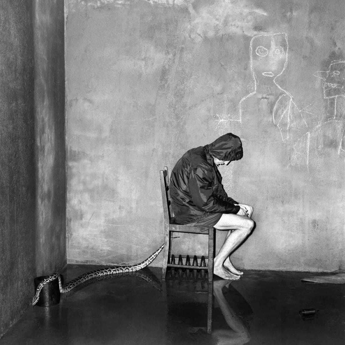 Roger Ballen, Bitten, 2004