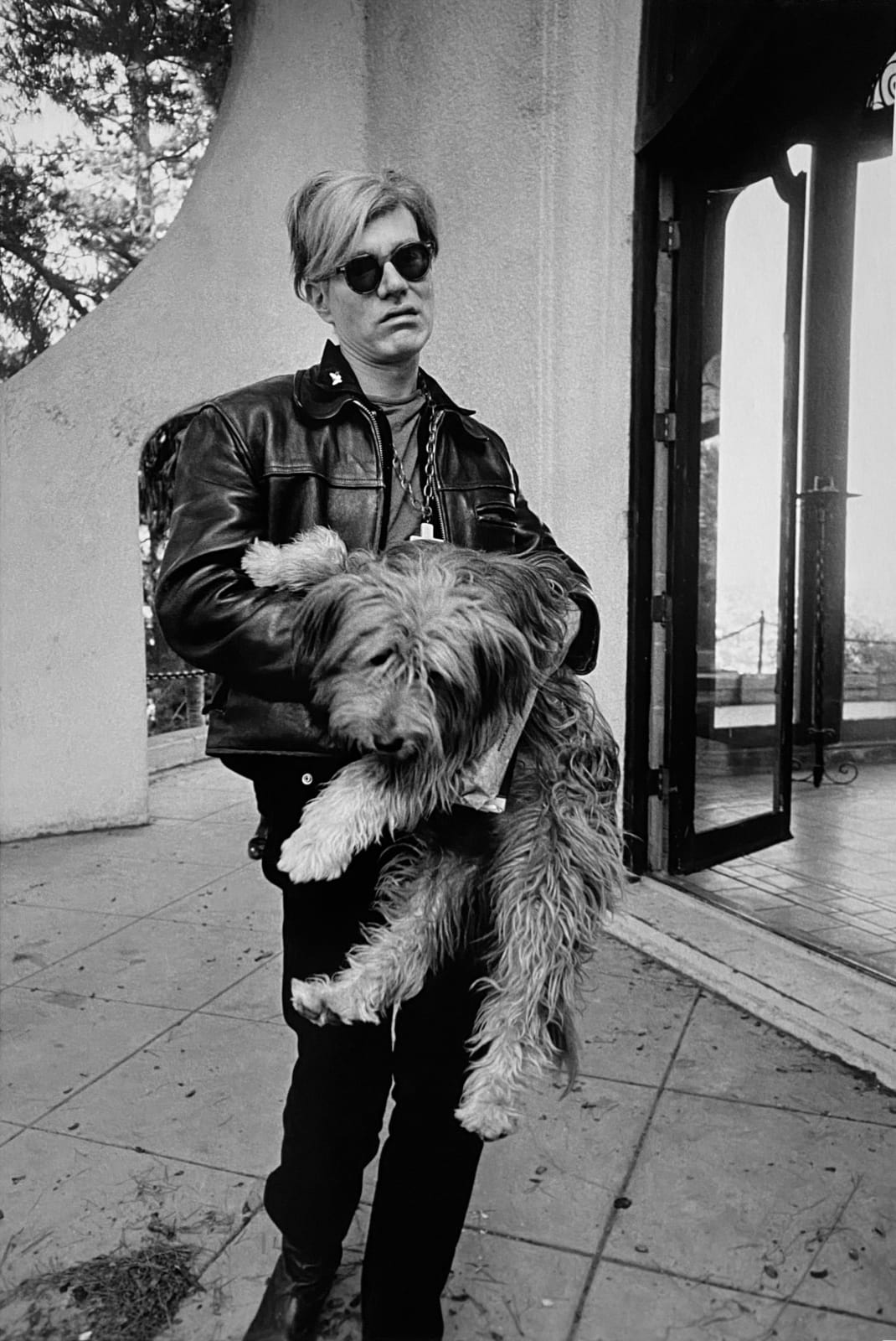 Steve Schapiro, Andy with dog at John Phillip Law's house, Los Angeles, 1966