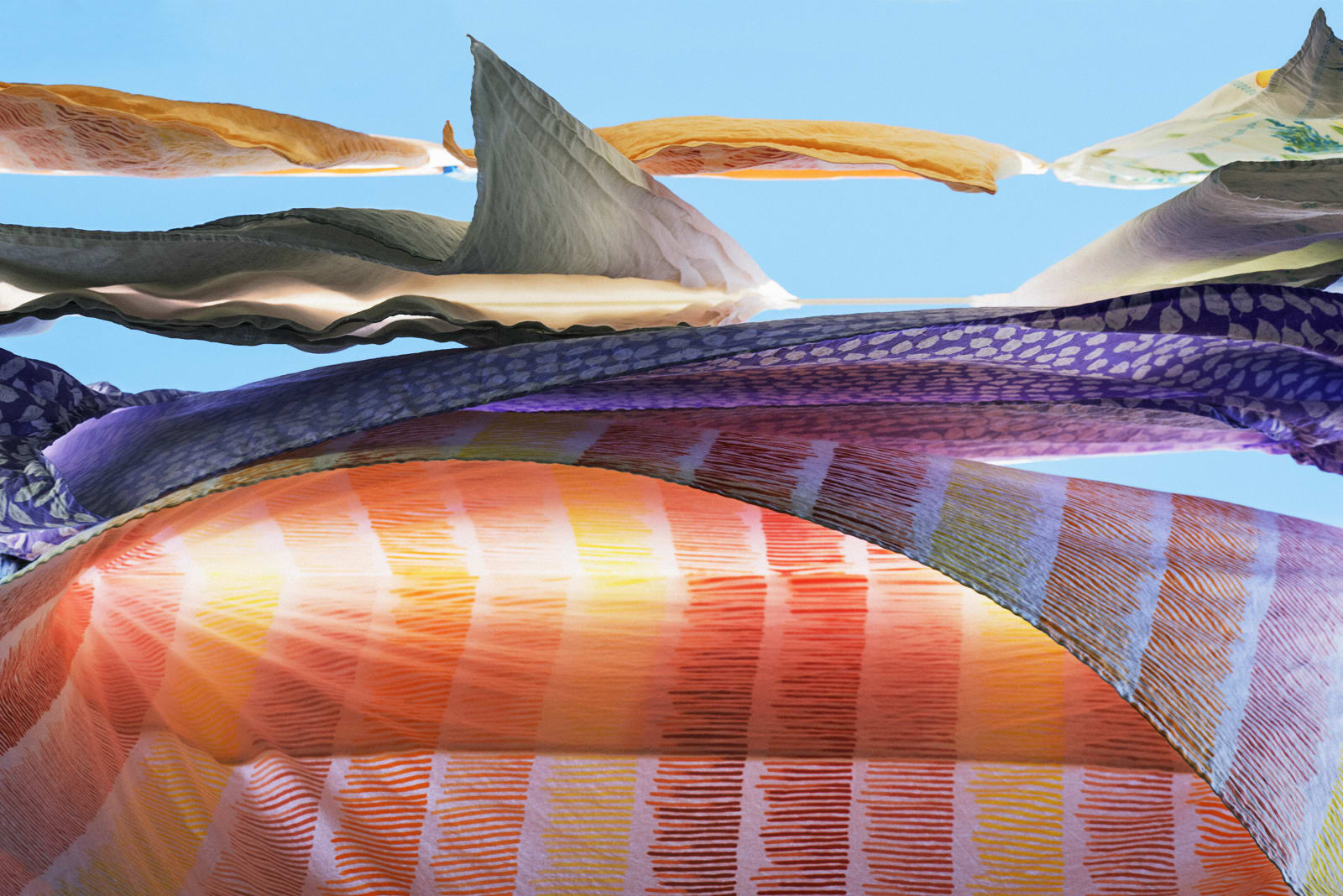 Sally Gall, Composition #1, 2016