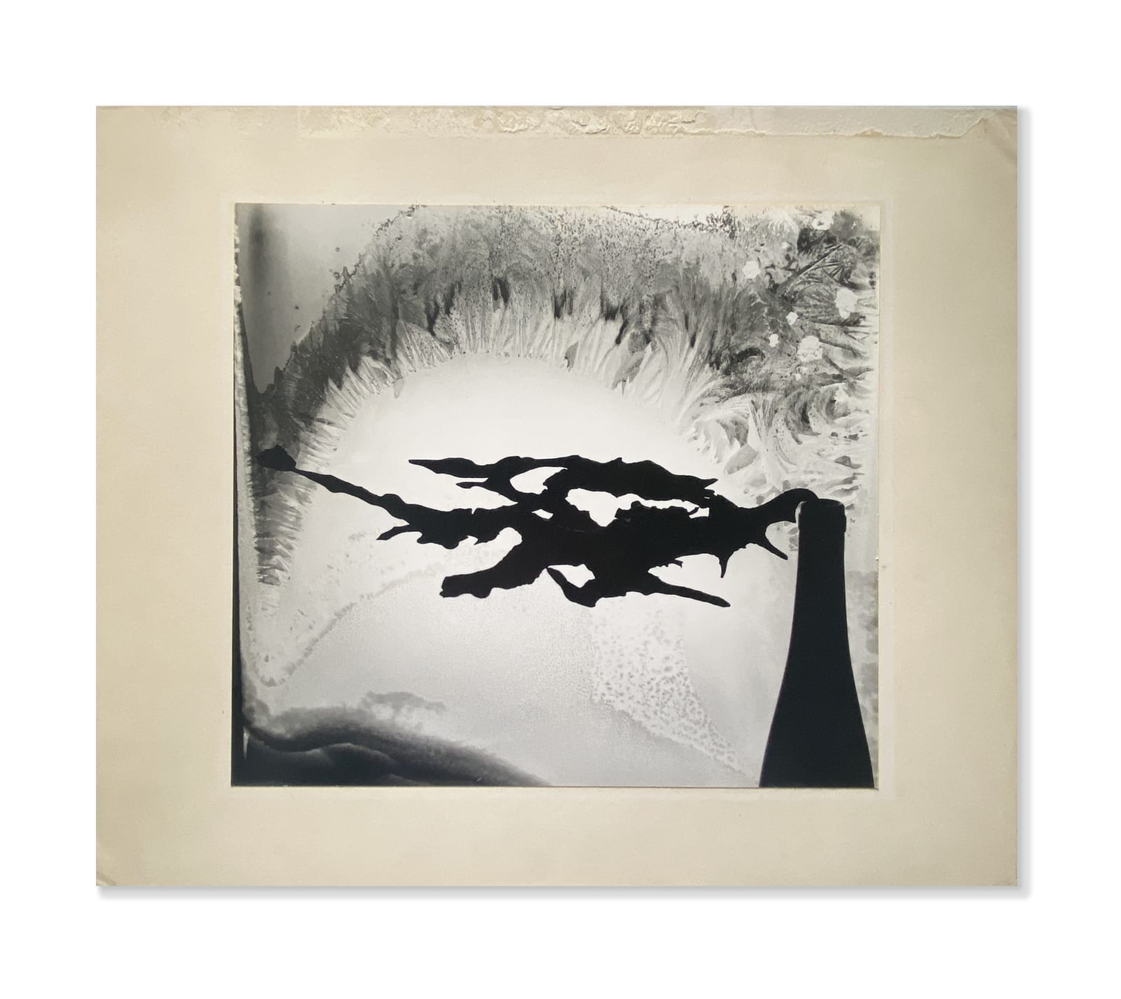 Minor White, Root and Frost, Rochester, NY, 1958