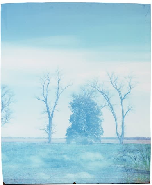 John Chiara, Farrell-Eagles Nest: Clover Hill , 2016