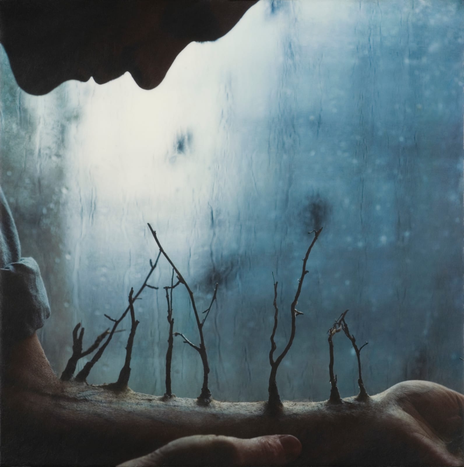 Robert & Shana ParkeHarrison, Winter Arm, 2008