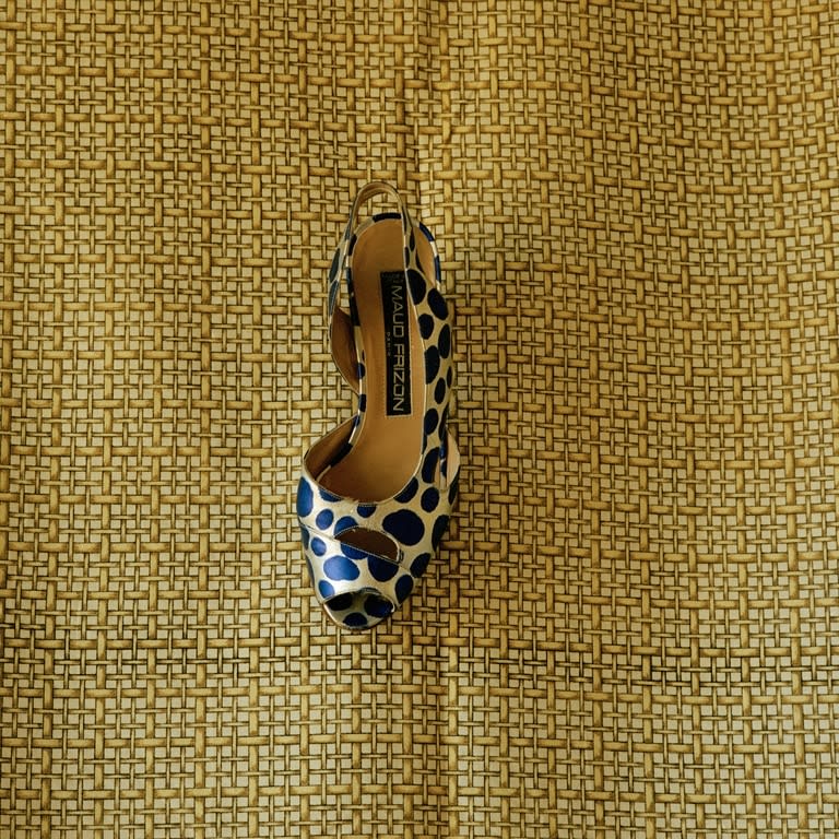 Jeannette Montgomery Barron, Blue Polka Dot Shoe, 2007