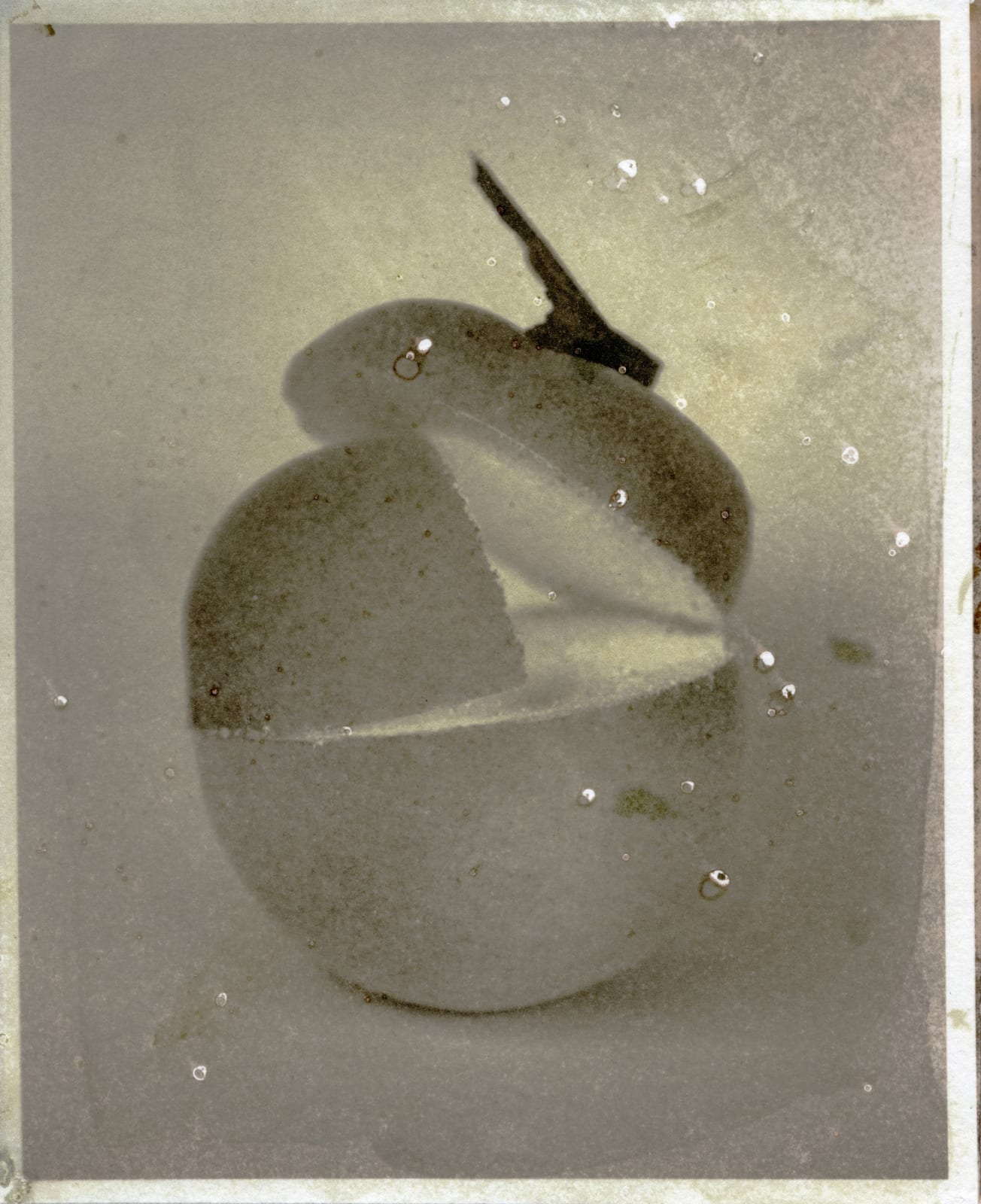 Matthew Brandt, Peaches, 3B, 2017