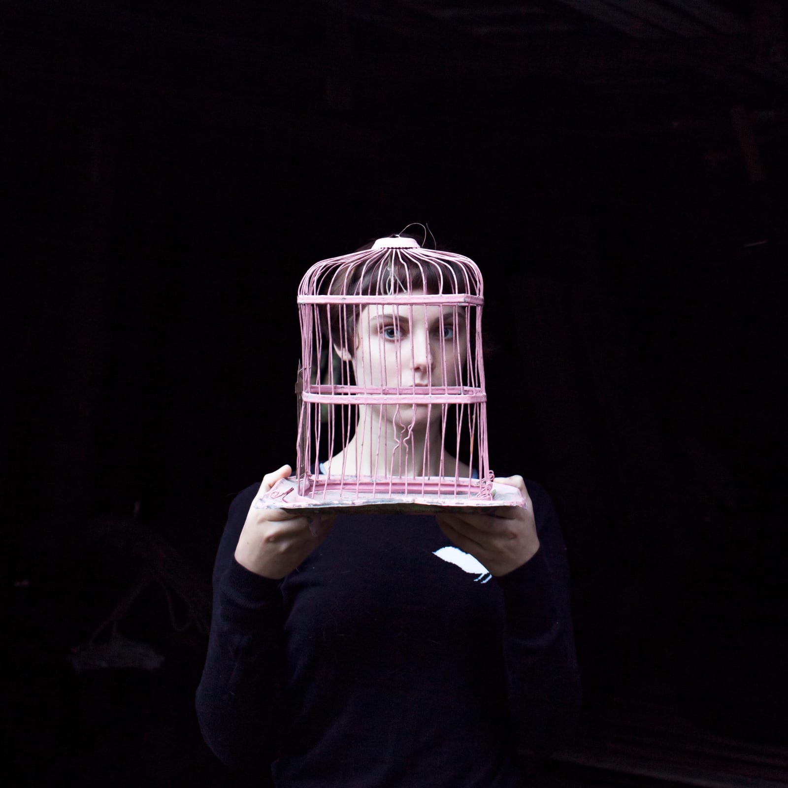 Cig Harvey, Birdcage, Sadie, Tenants Harbor, Maine, 2013