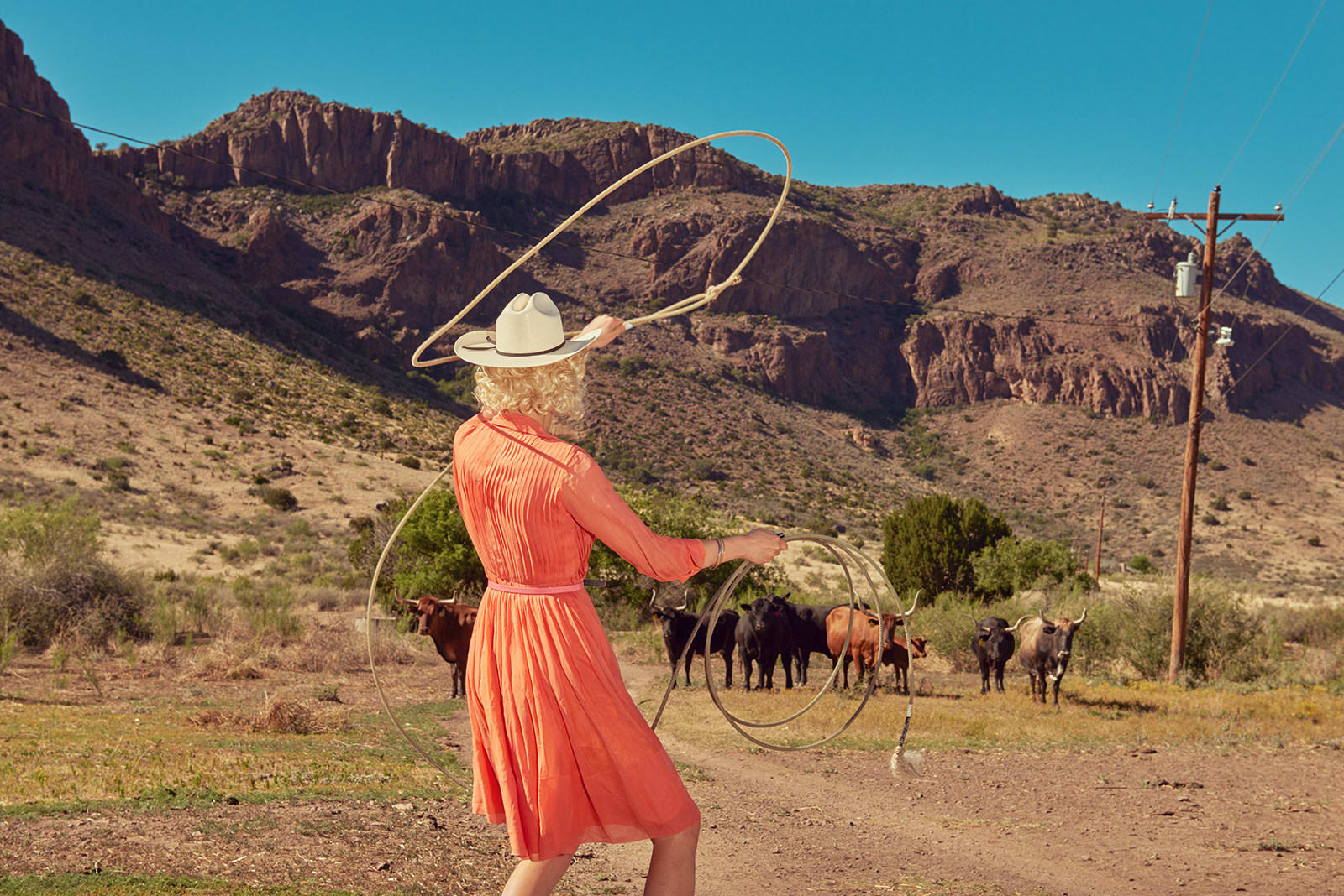 Kourtney Roy, Sorry, No Vacancy, N°2