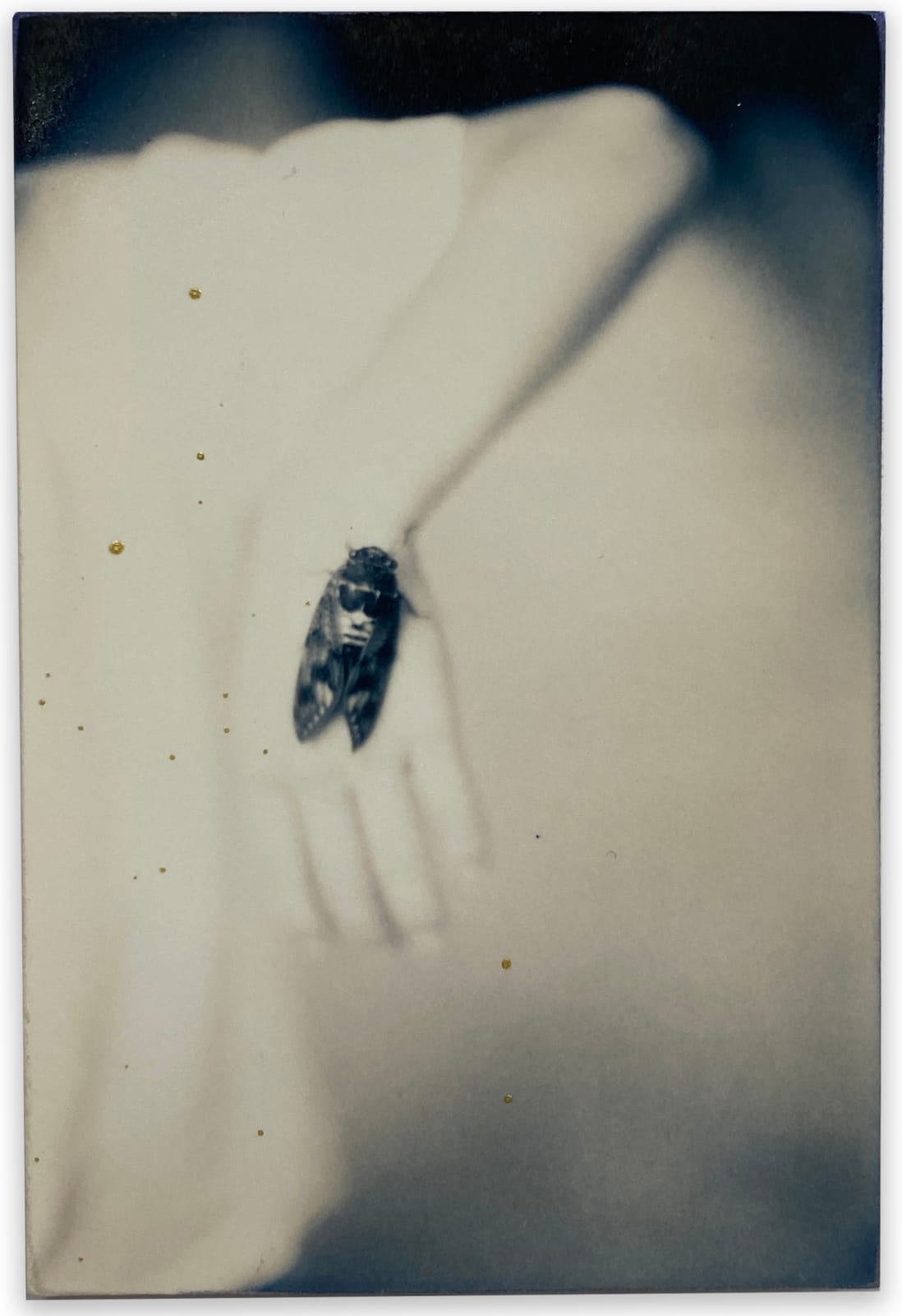 Yamamoto Masao, Nakazora #990