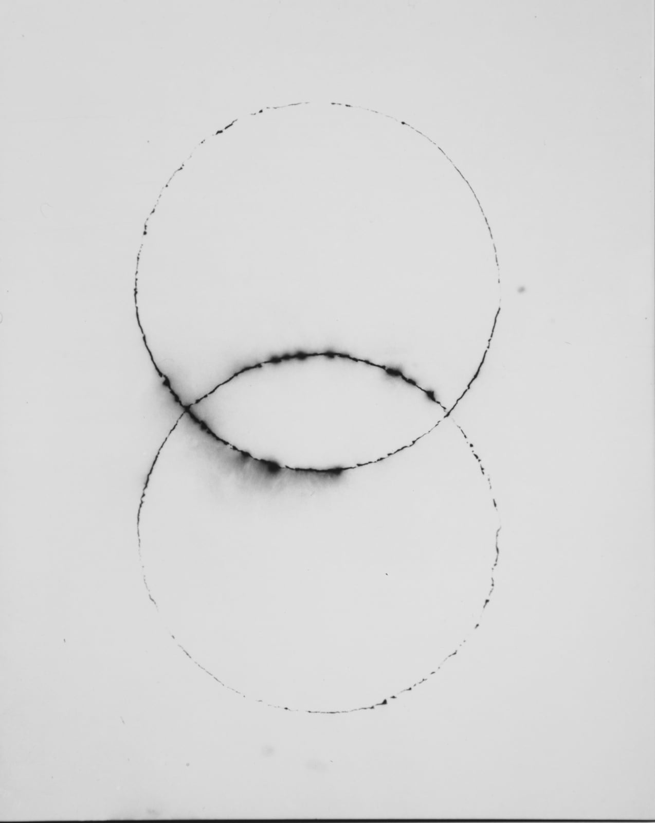 Tommy Nease, Venn, 2017