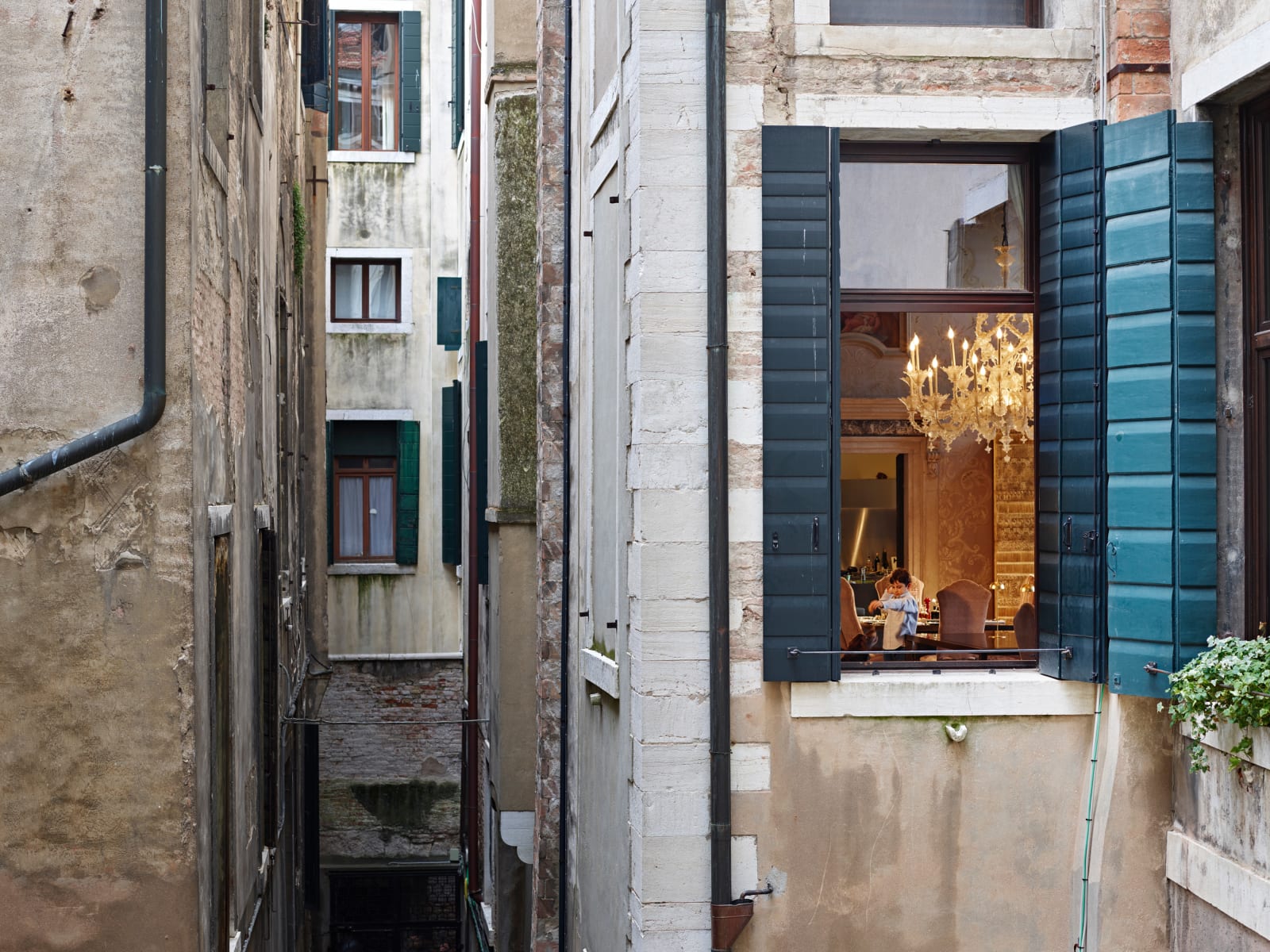 Gail Albert Halaban, Boy and His Dog, Grand Canal from the Back Window, Venice, Italy, 2018