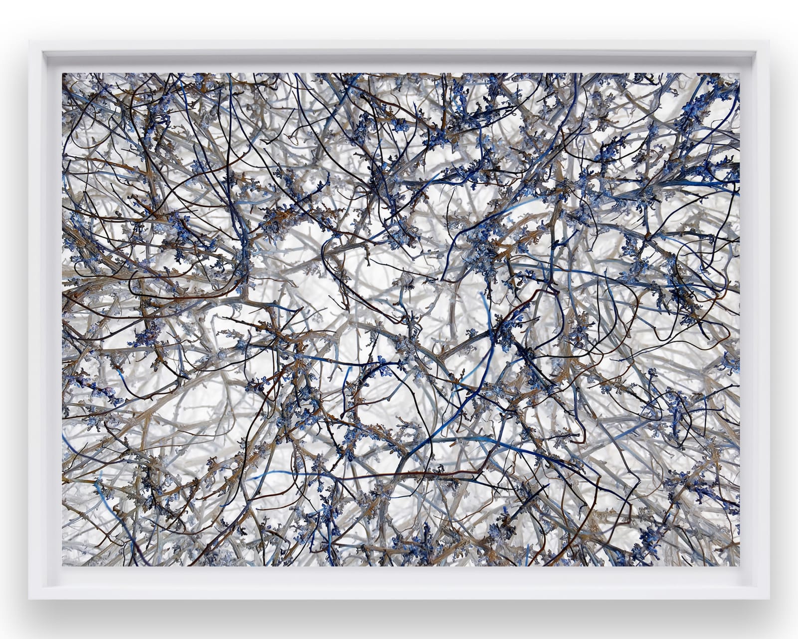 Richard Misrach, IPS #7386 (Scrub #58), 2014