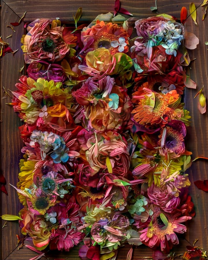 Abelardo Morell, Flowers for Lisa #10, 2016