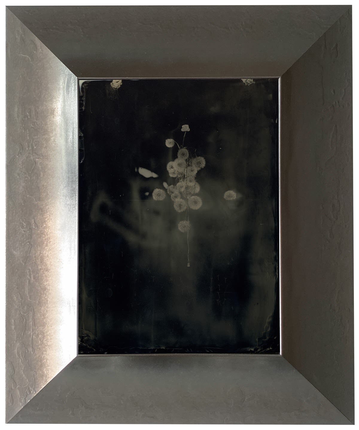 Yamamoto Masao, Ambrotype #48, 2022
