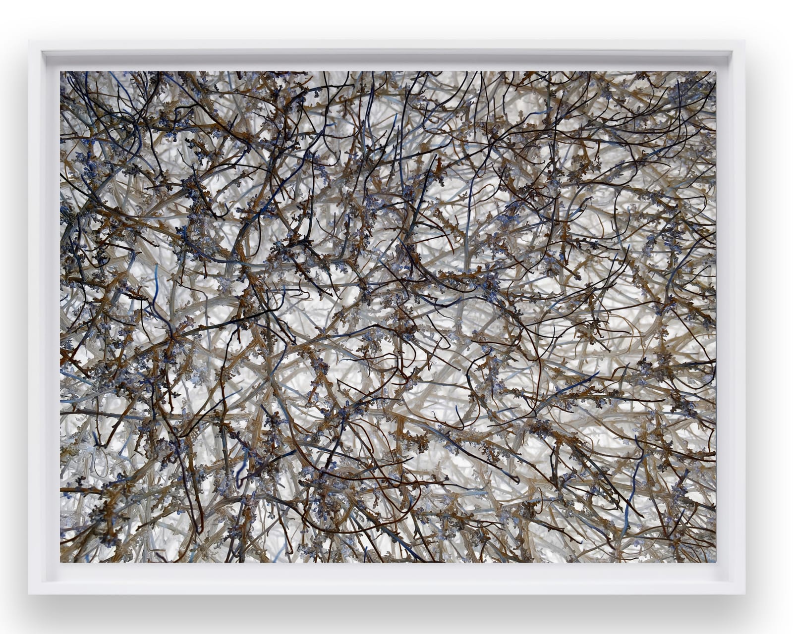 Richard Misrach, IPS #6831 (Scrub #56), 2014