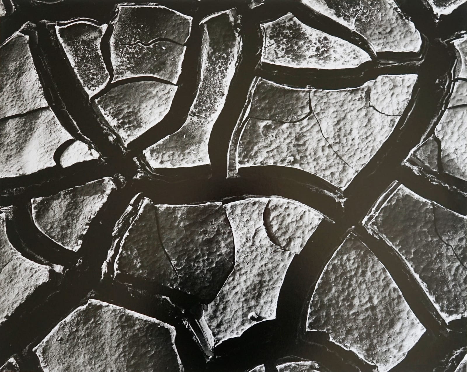 Brett Weston, Untitled