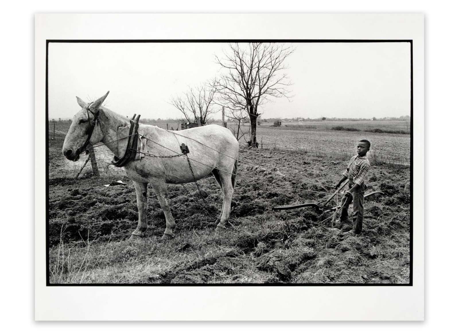 Bruce Davidson, Untitled, Time of Change (Young Boy Plowing), 1965
