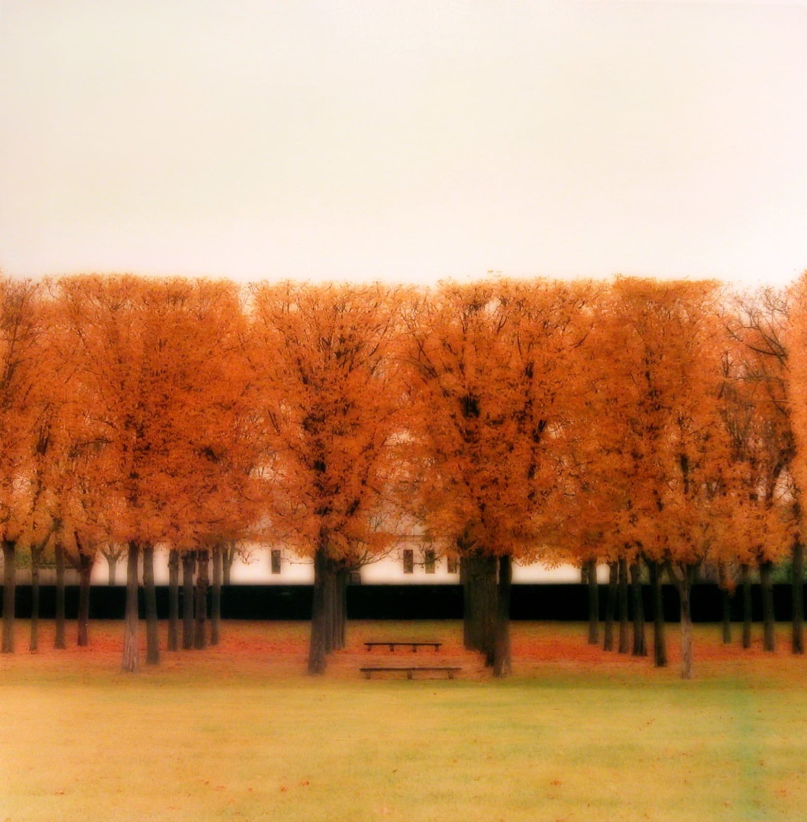 Lynn Geesaman, Parc de Sceaux, France (10-08-39c-3), 2008