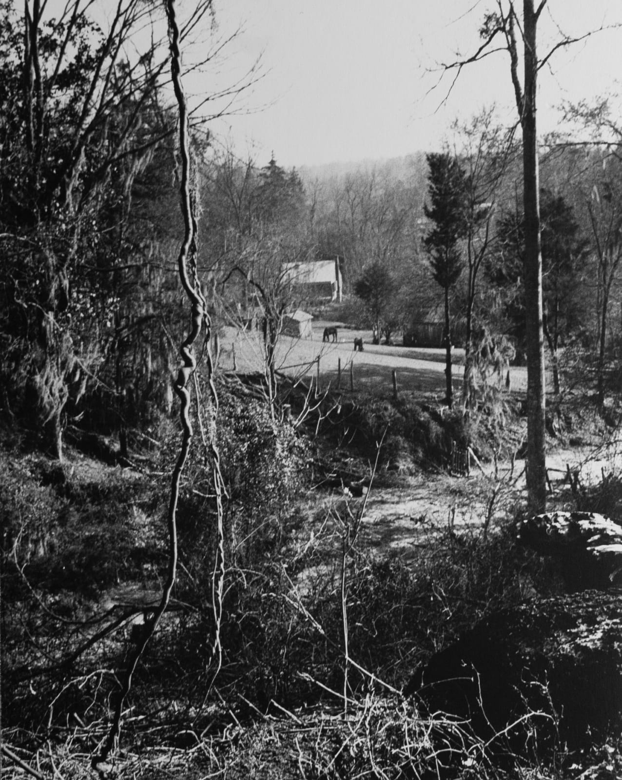 Eudora Welty, Ghost River-town, 1942