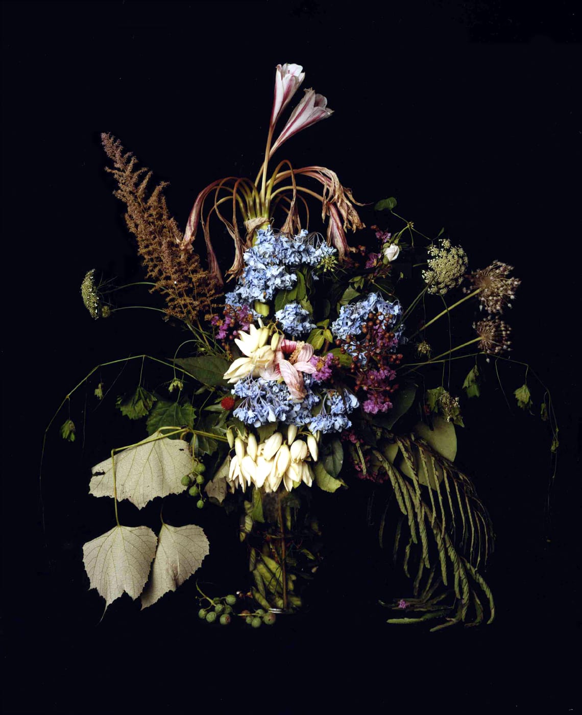 Angela West, Summer Still Life #3, From the series: Nature Morte, 2004