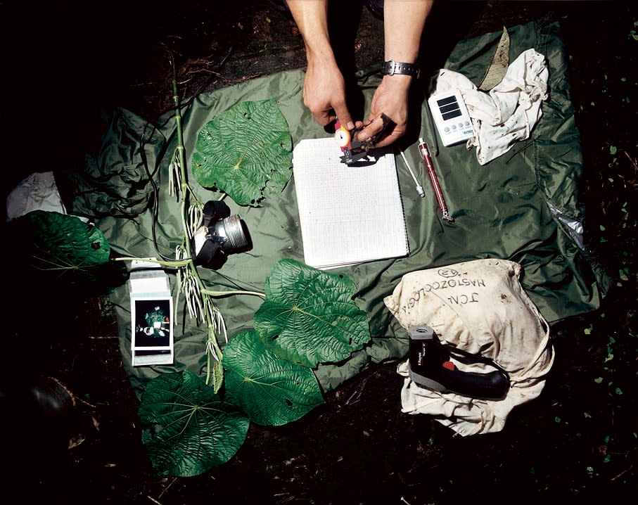 Sanna Kannisto, Bat Studies, 2001