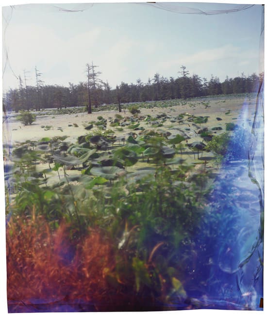 John Chiara, Annis Brake at County Line Road, 2016