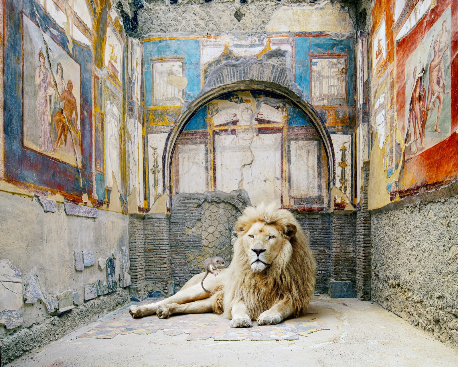 Karen Knorr, Lion's Rescue, College of the Augustales, Herculaneum, 2023