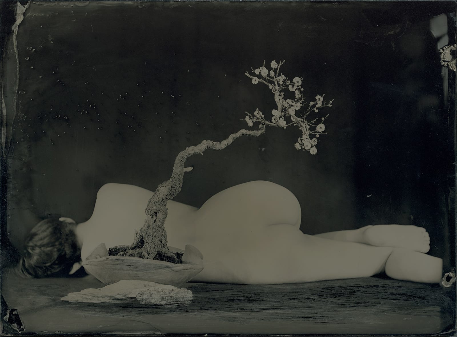 Yamamoto Masao, Ambrotype #56, 2022