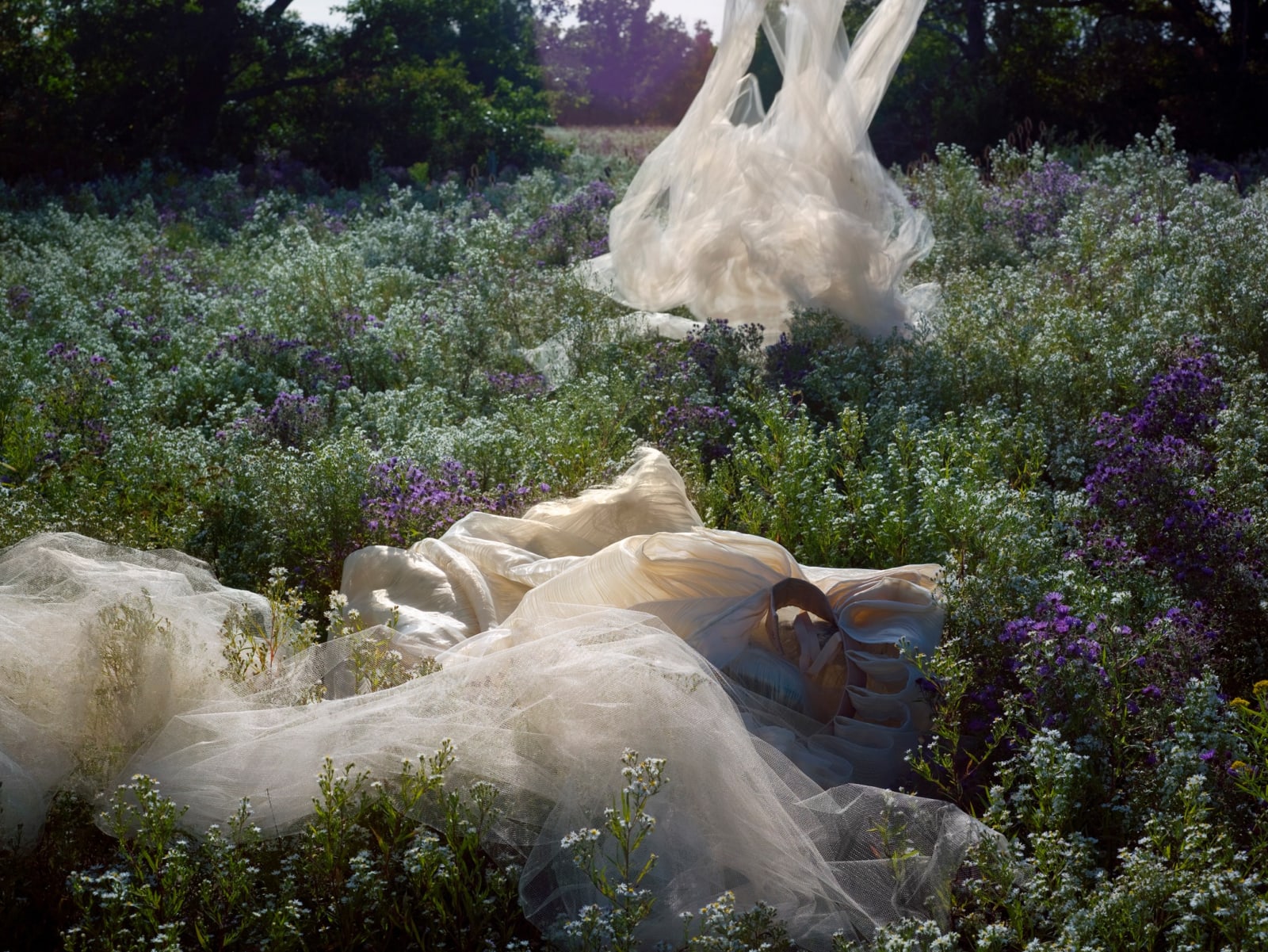 Edith Maybin, Untitled #16, The Garden Document , 2010