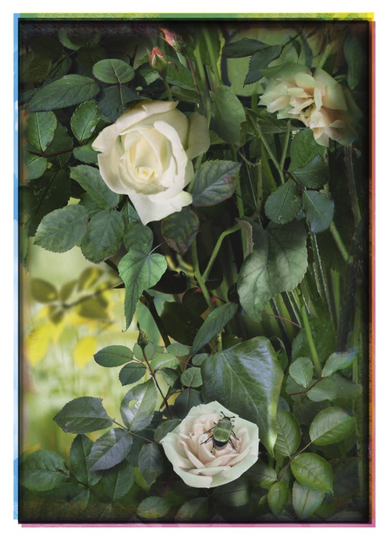 Ruud van Empel, Van Gogh #1, 2020