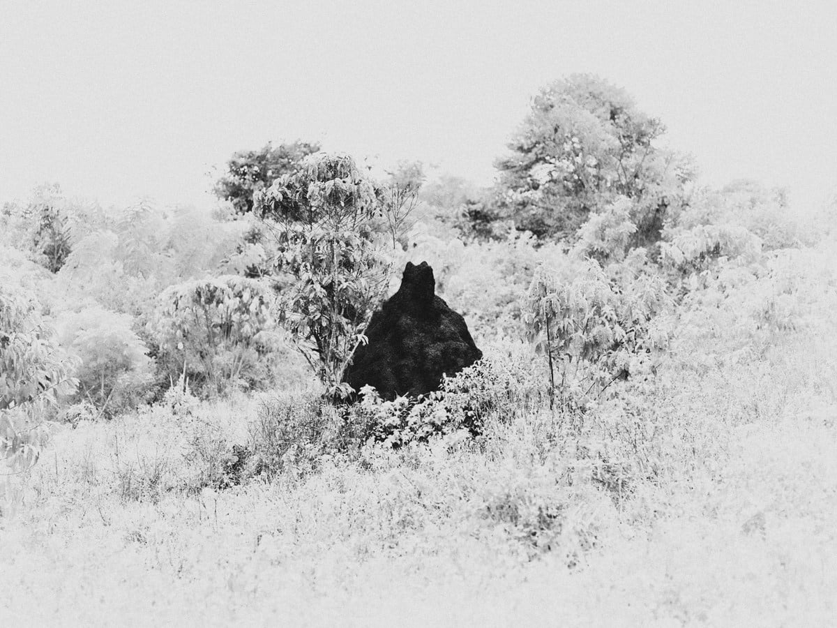 Bastiaan Woudt, Untitled from the series Mukono