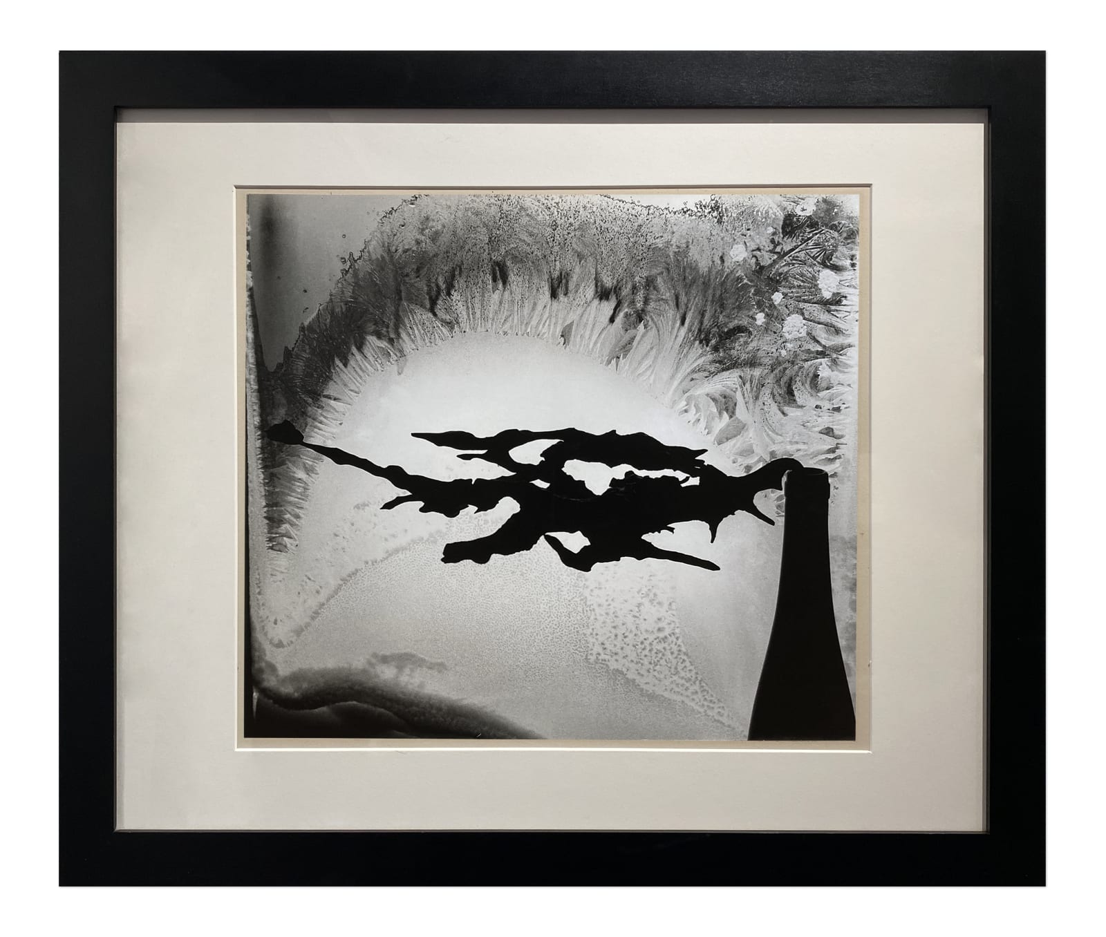 Minor White, Root and Frost, Rochester, NY, 1958