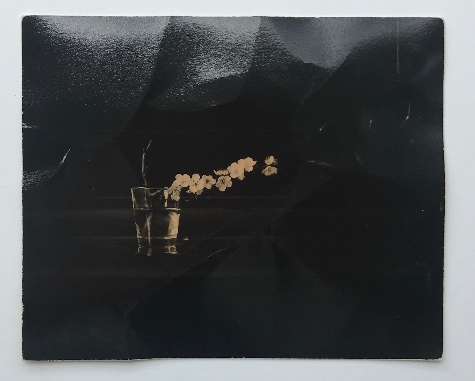 Yamamoto Masao, A Box of Ku #43