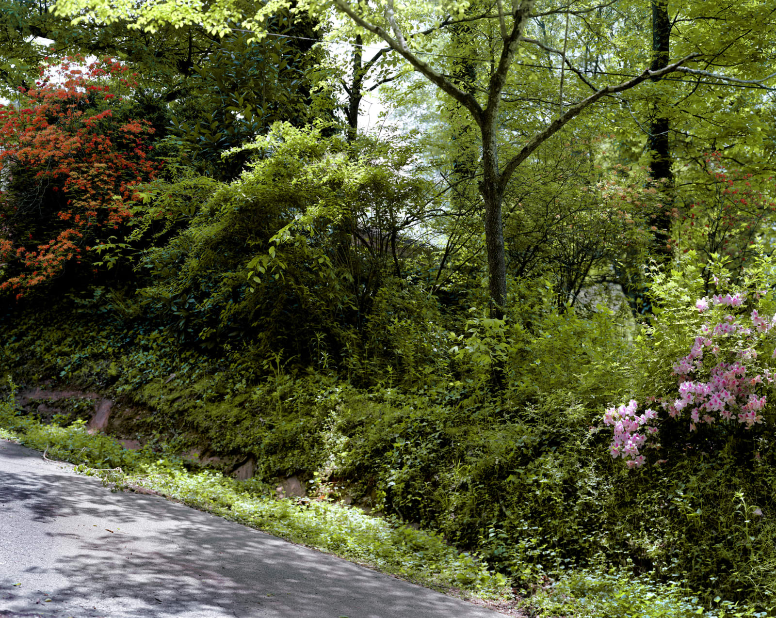 Angela West, My 33rd Spring #11, 2003