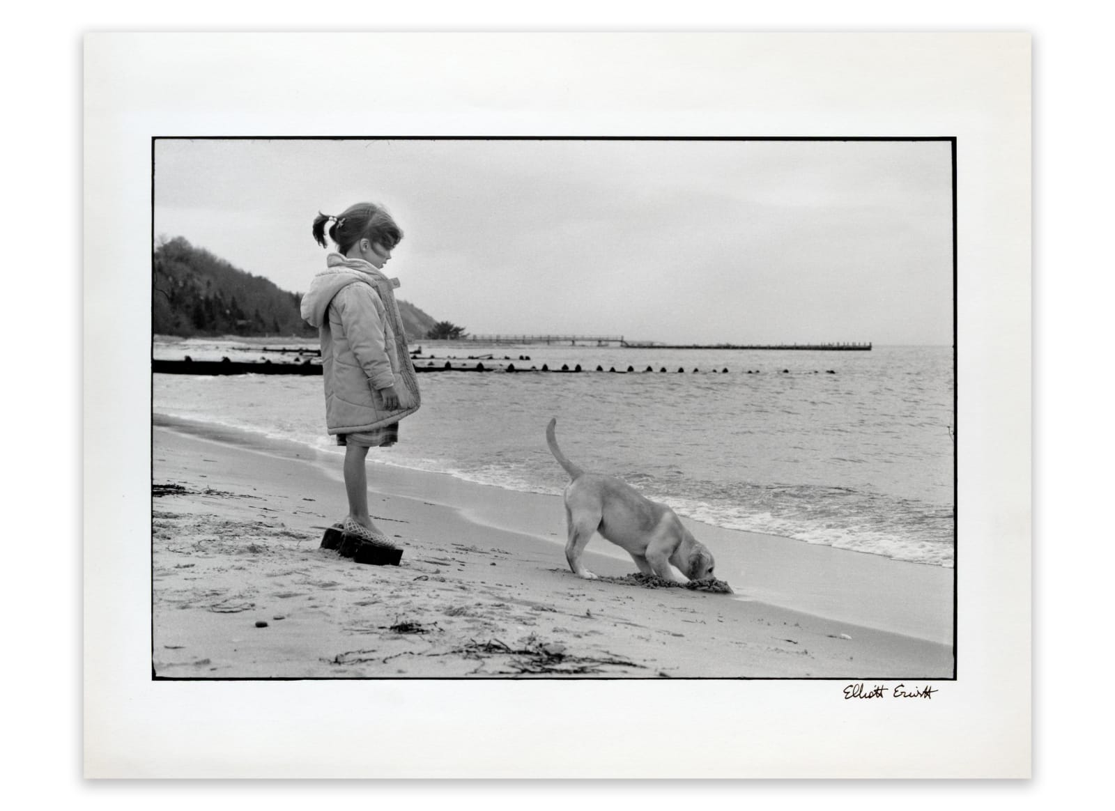 Elliott Erwitt, Amagansett, New York, 1984