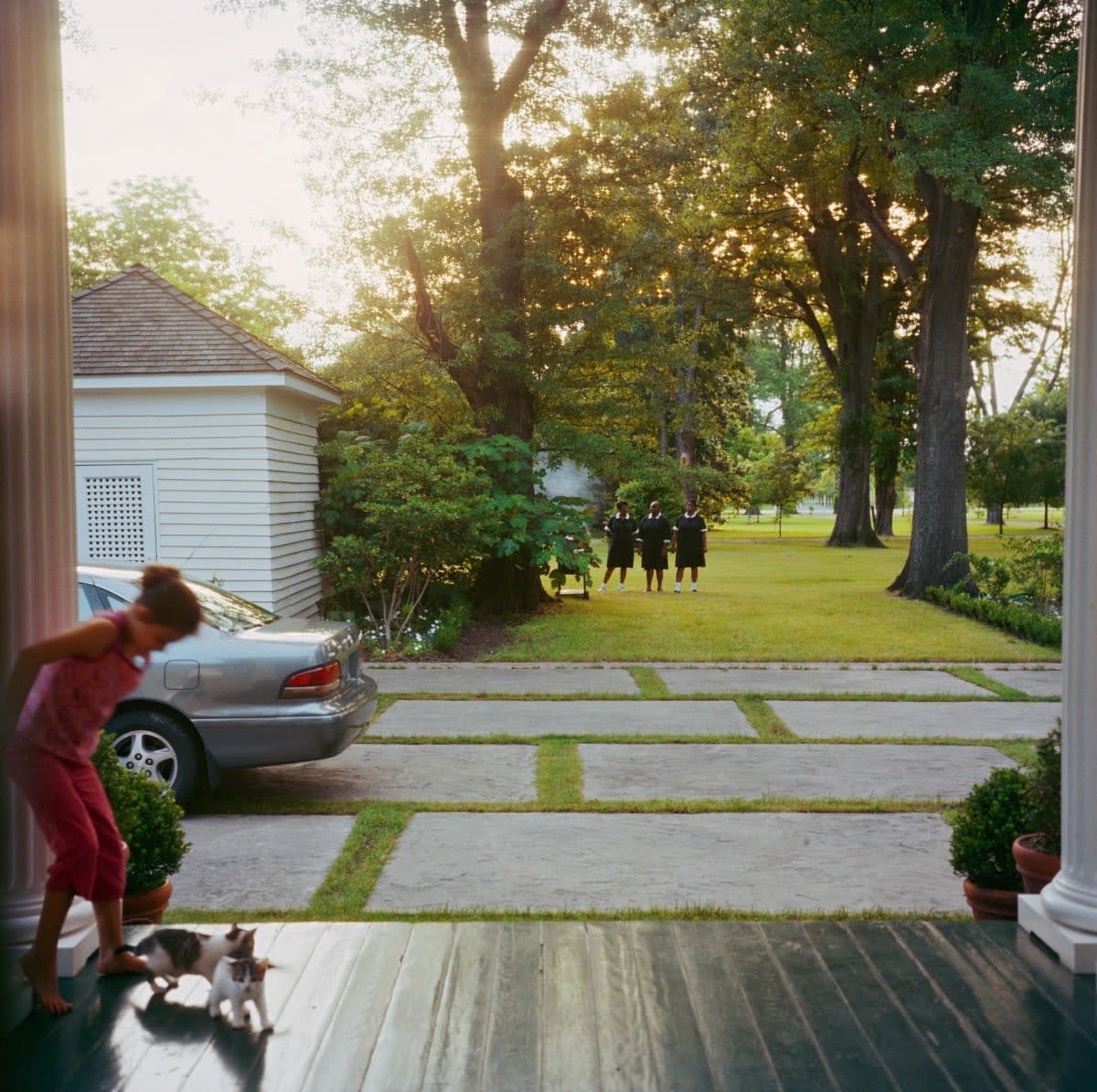 Maude Schuyler Clay, Sophie with Kittens, Summer, Mississippi
