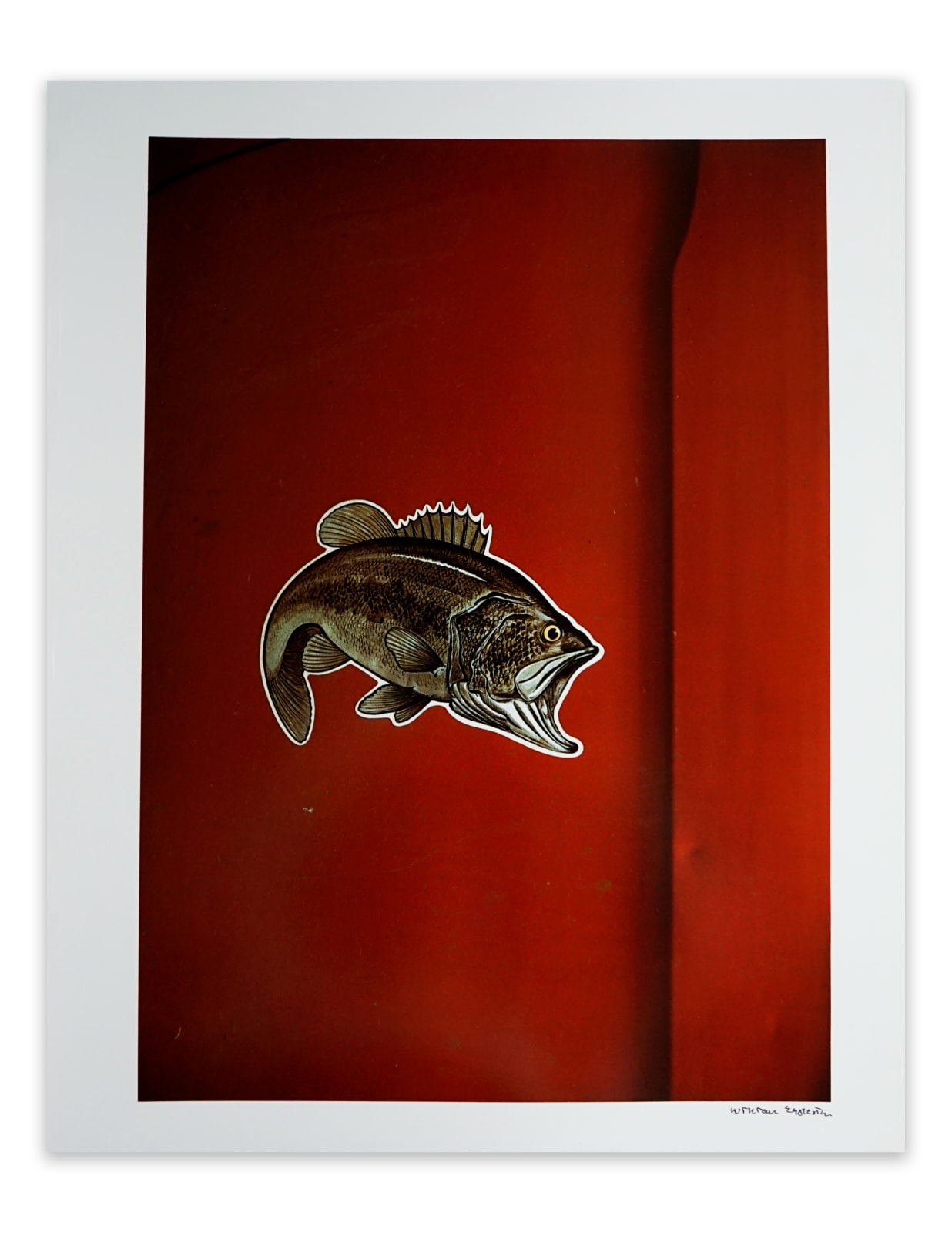 William Eggleston, Untitled from Portfolio 10.D.70.V1 (fish), 1970