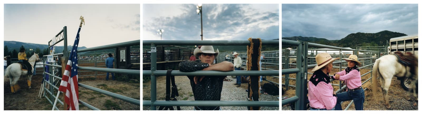 David Hilliard, The Favorite, 2006