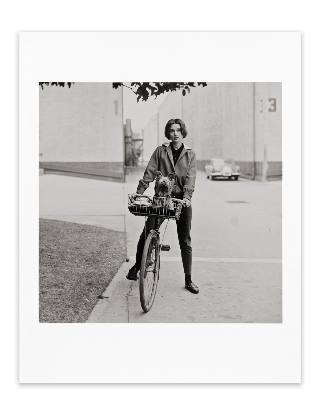 Sid Avery, Audrey Hepburn on Her Bike With Her Dog "Famous" at Paramount Studios, Los Angeles, CA, 1957