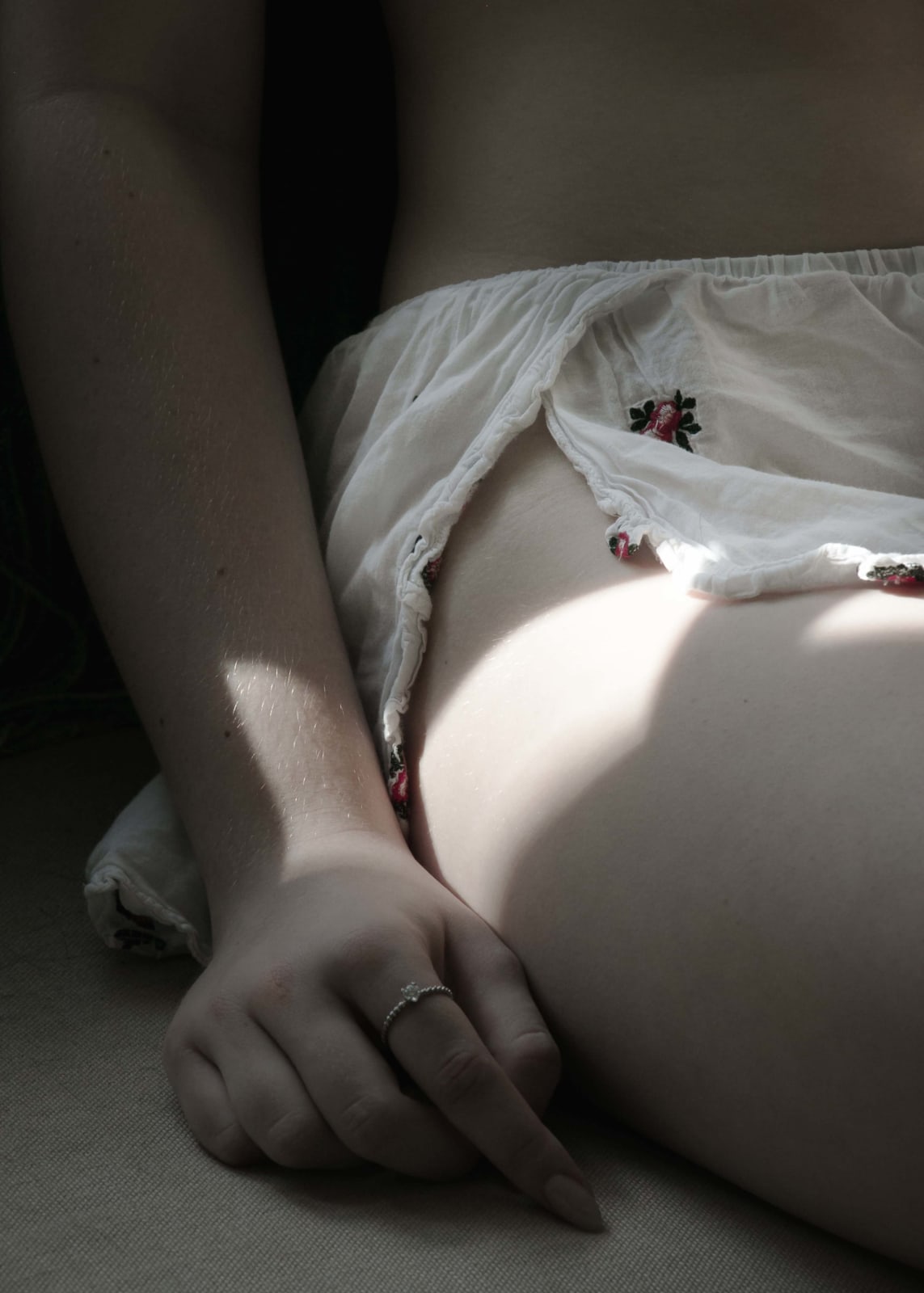 Christy Bush, Bird, Homecoming Morning, 2020