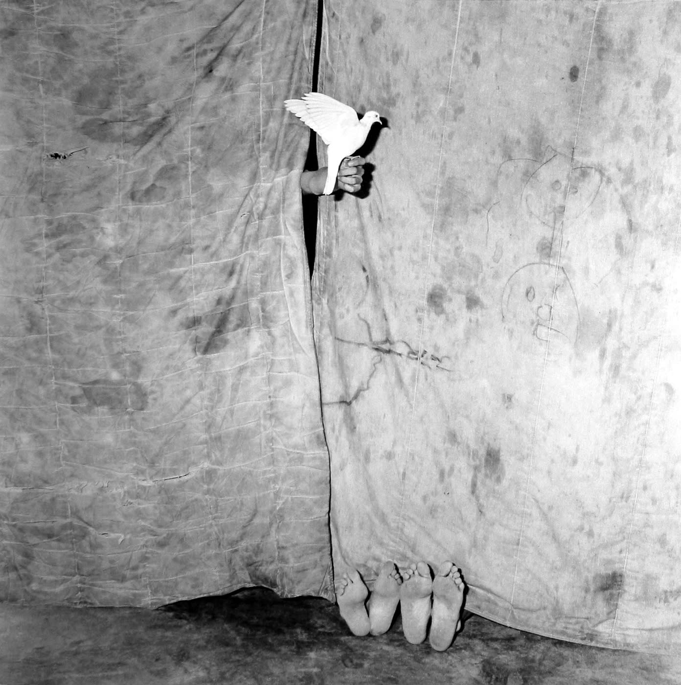 Roger Ballen, Juxtaposed, 2004