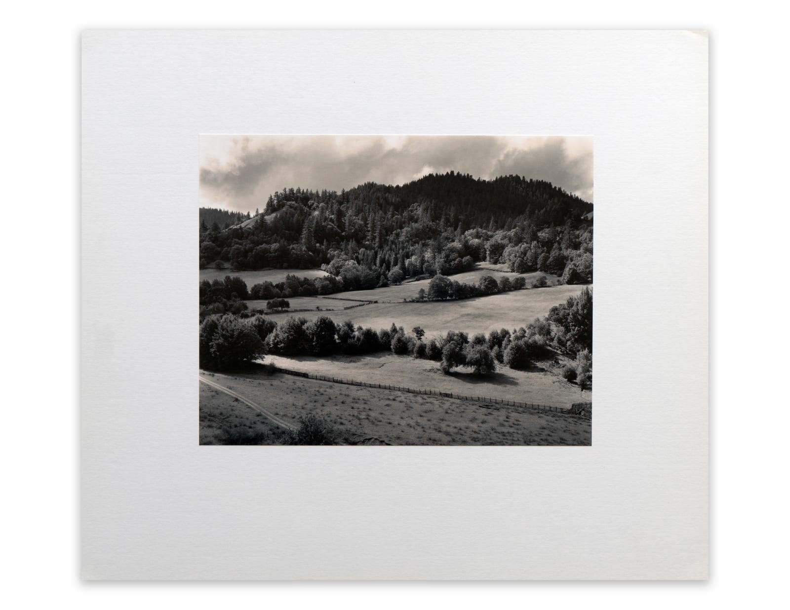 Edward Weston, Eel River Ranch, 1937