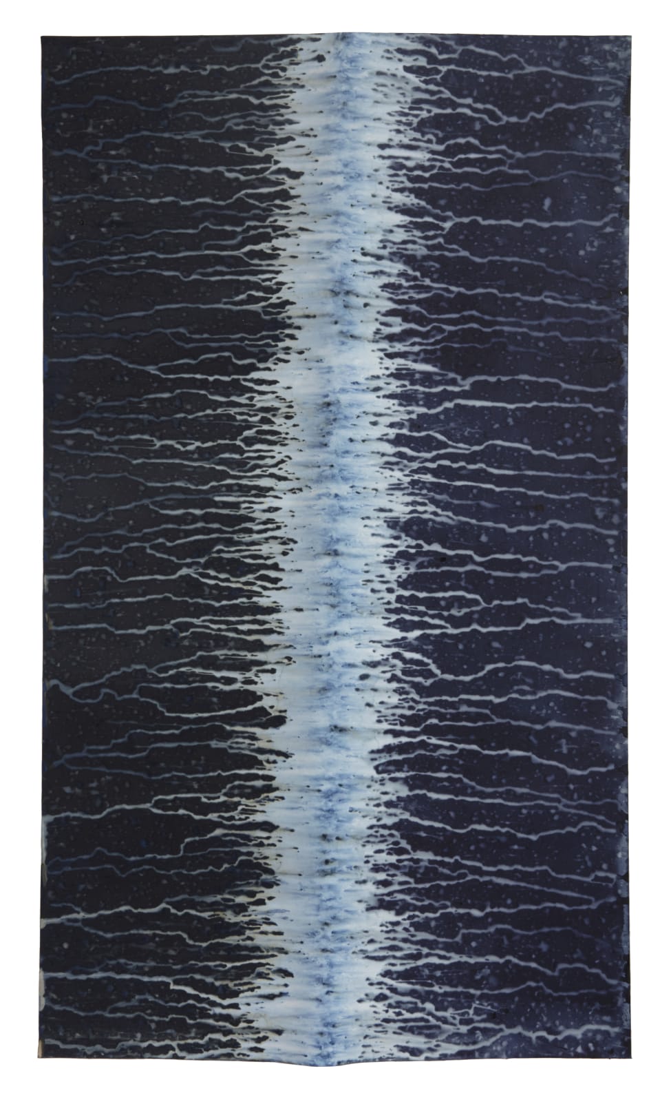 Meghann Riepenhoff, Ecotone #313 (Bainbridge Island, WA 03.01.18, Draped on Branch, Mixed Precipitation), 2018