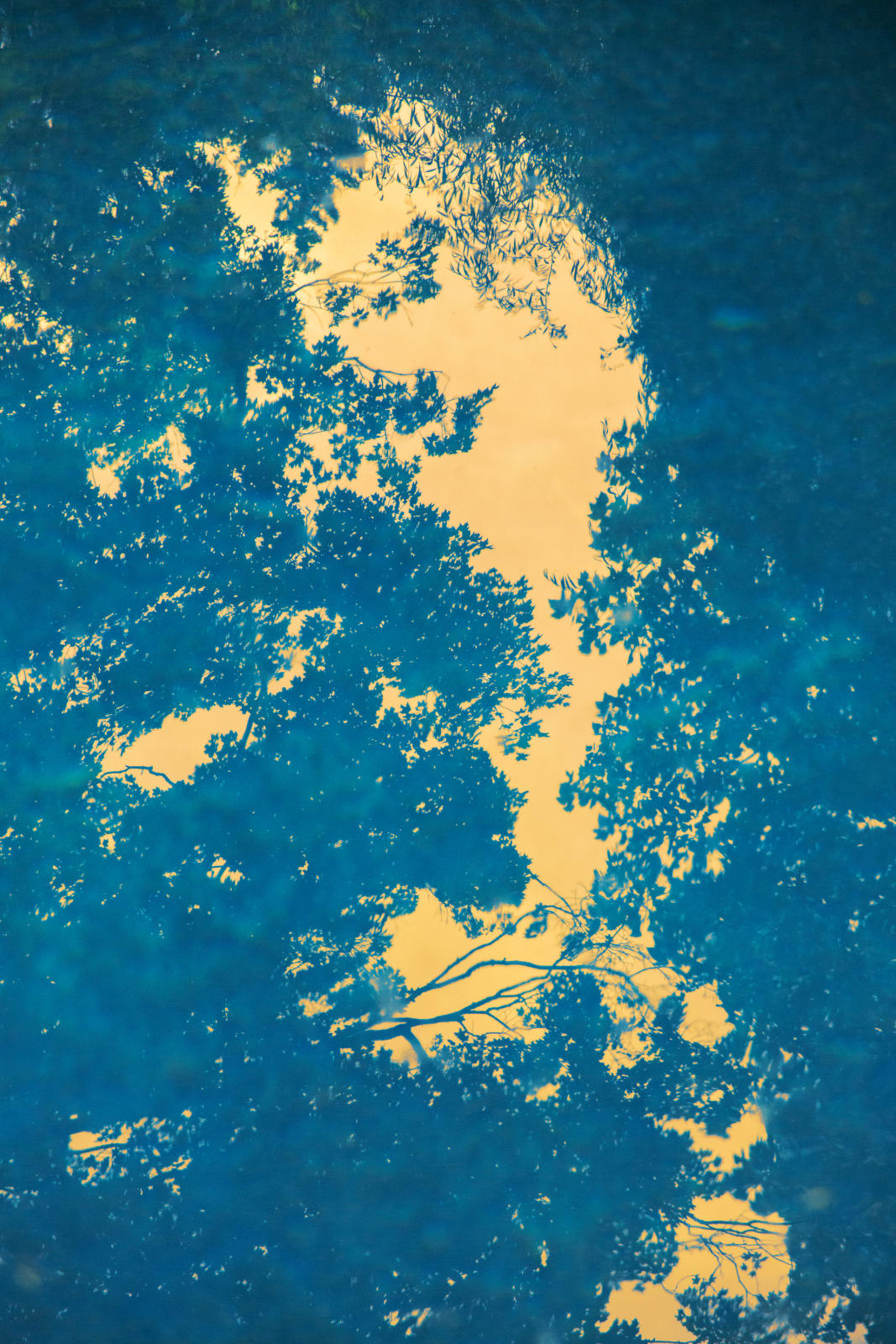 Erik Madigan Heck, Untitled, The Garden, 2019