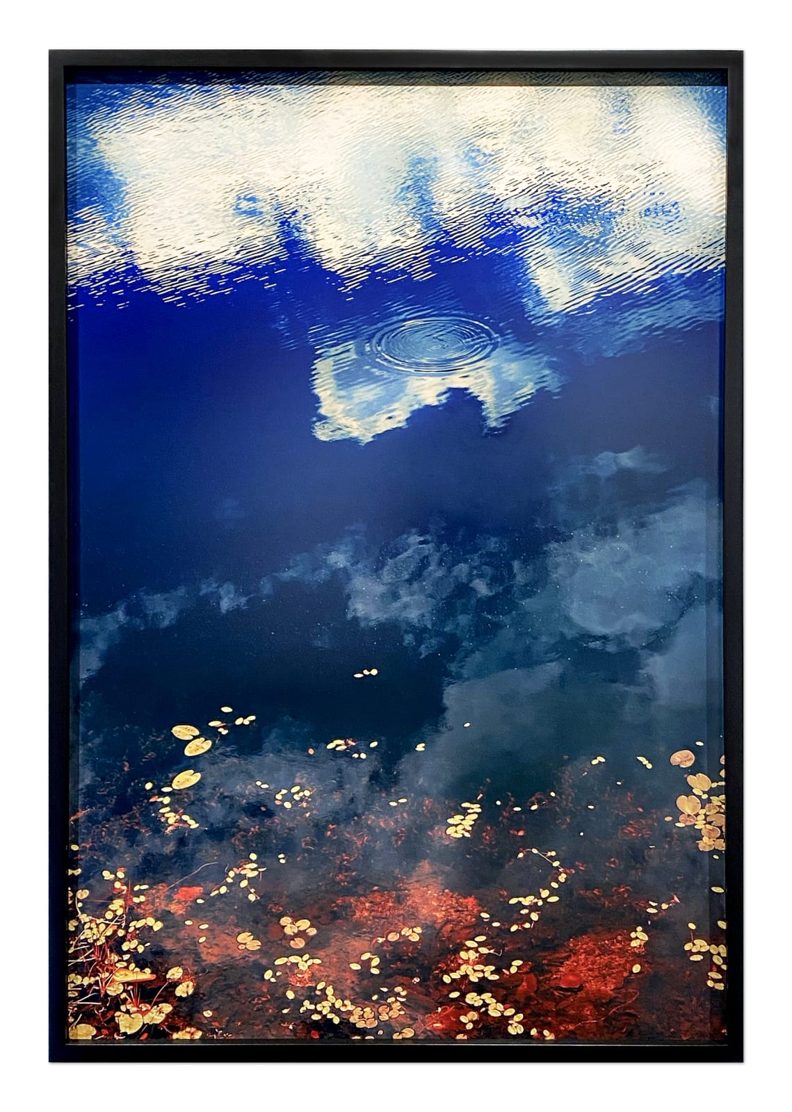 Erik Madigan Heck, Clouds in Pond, The Garden, 2019