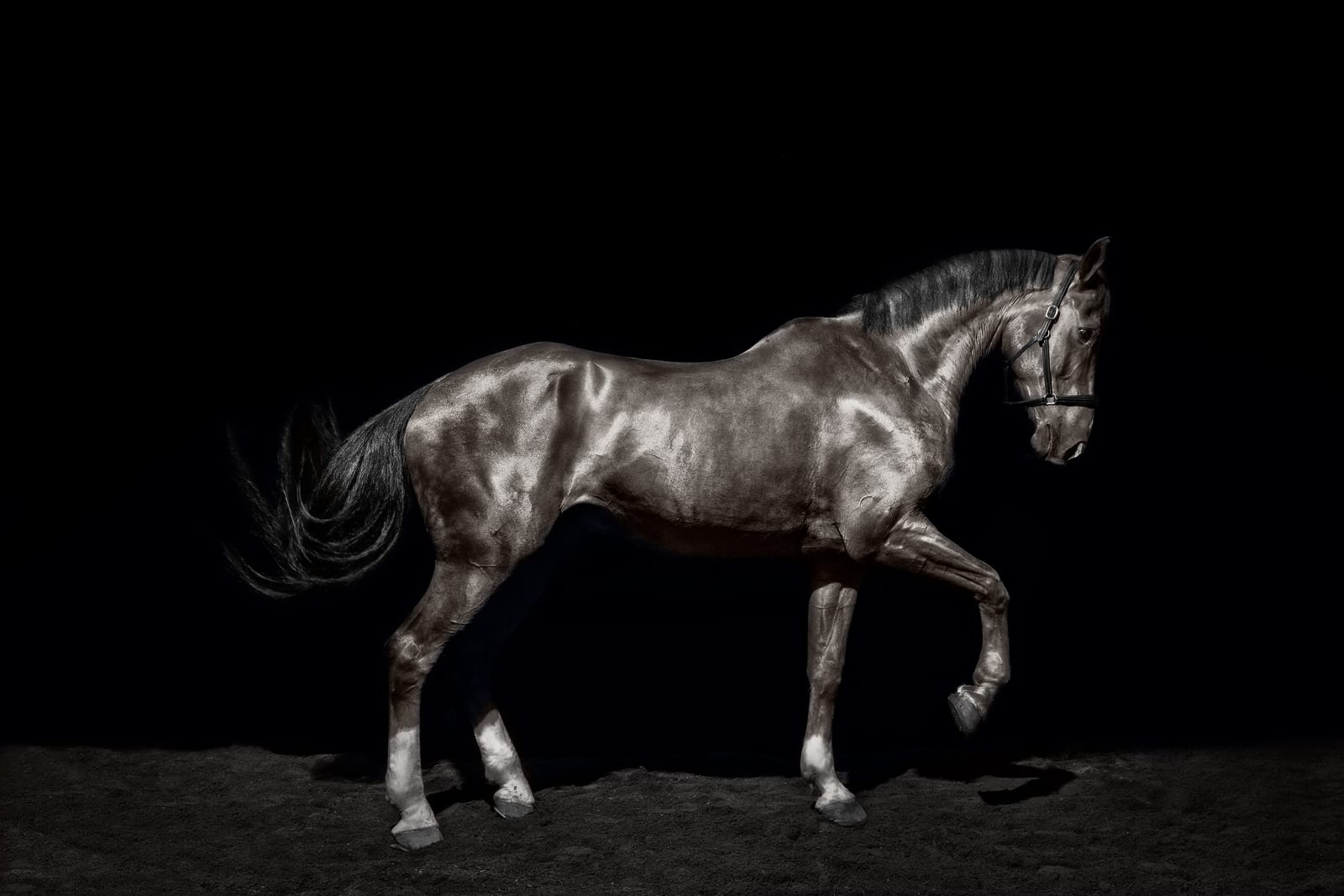 Todd Murphy, Aristides, 2015