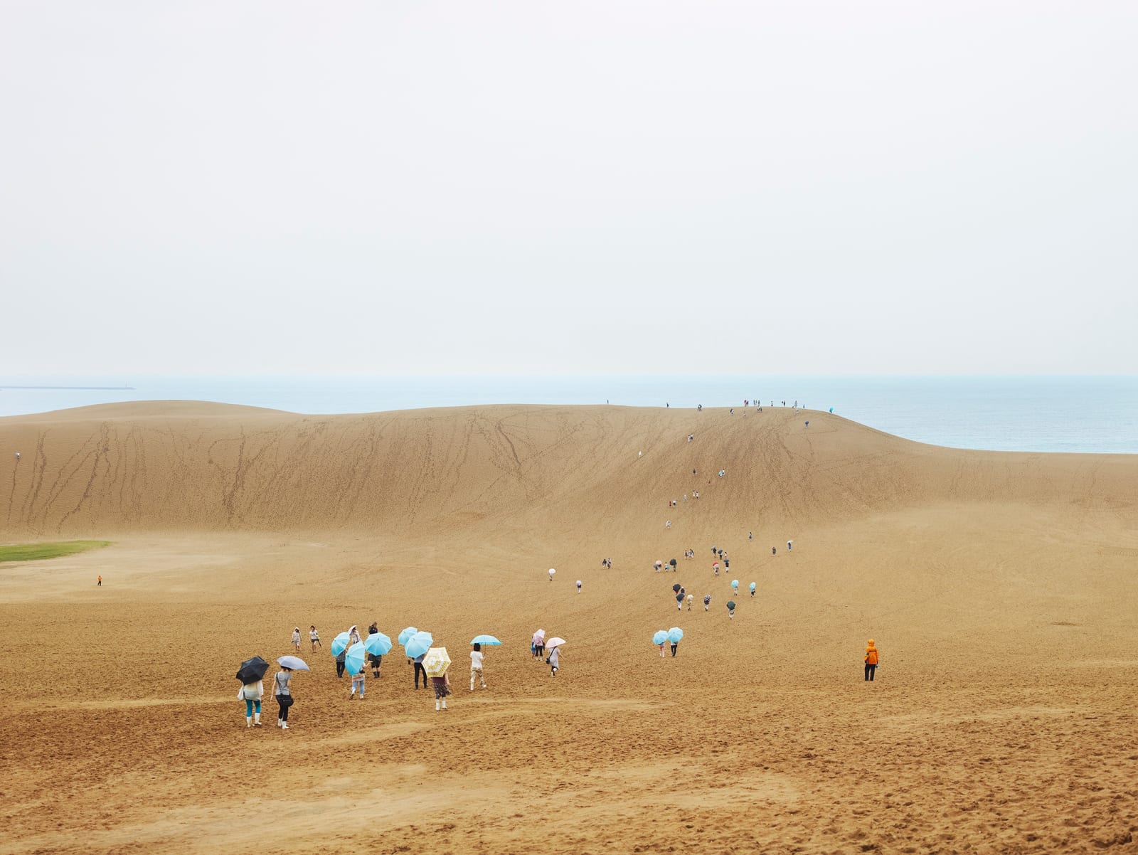 Josef Hoflehner, Sand Dune Umbrellas, Japan, 2013