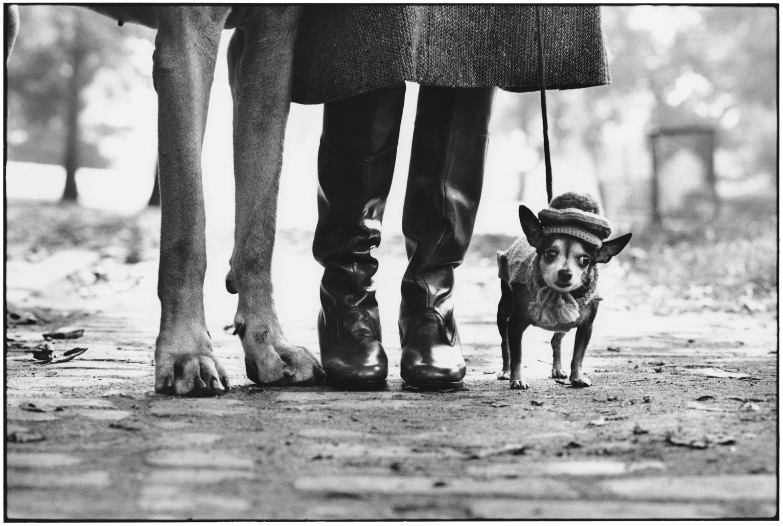 Elliott Erwitt, New York City, 1974